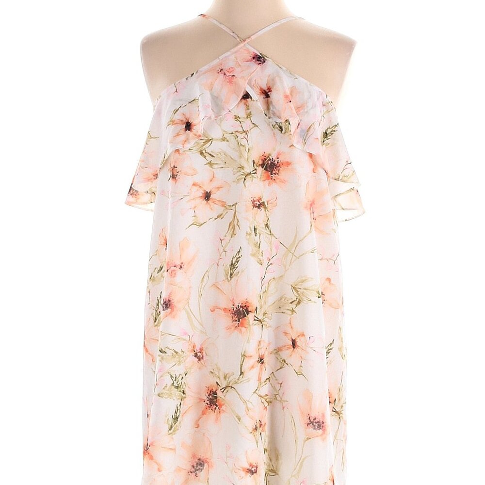 NWT Haute Hippie Size Small Dress